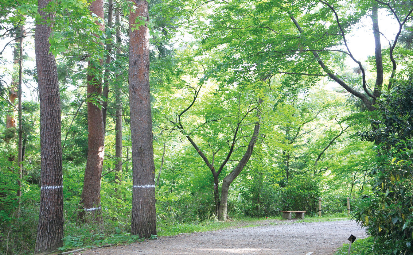台原森林公園